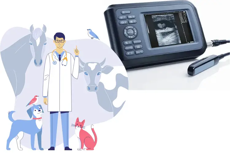 Enhancing Veterinary Healthcare through Ultrasound