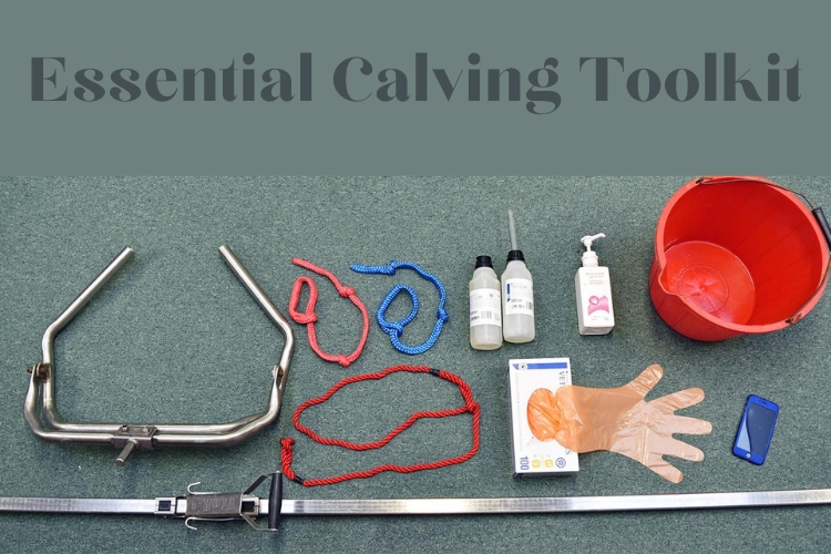 the essential calving toolkit: preparing with a complete supplies
