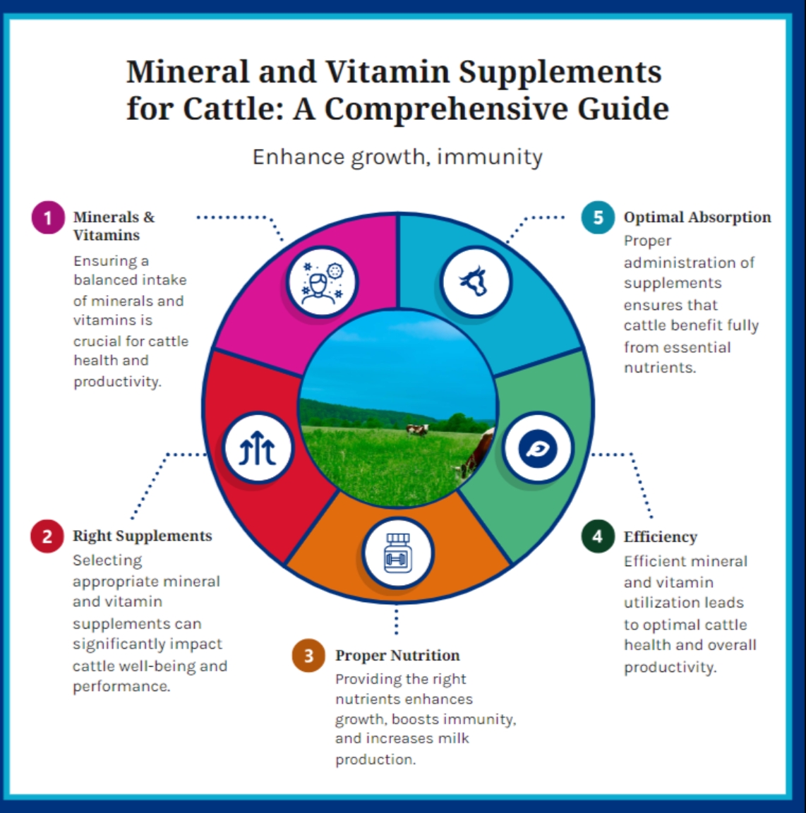 Mineral and Vitamin Supplements for Cattle A Comprehensive Guide Infogrphic