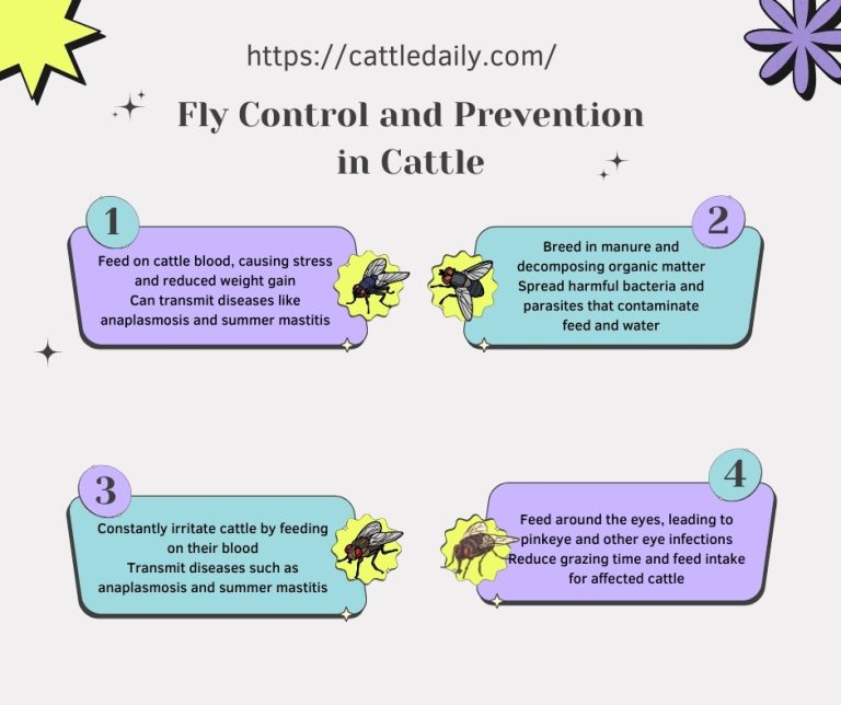 Comprehensive Fly Control for Cattle Farms