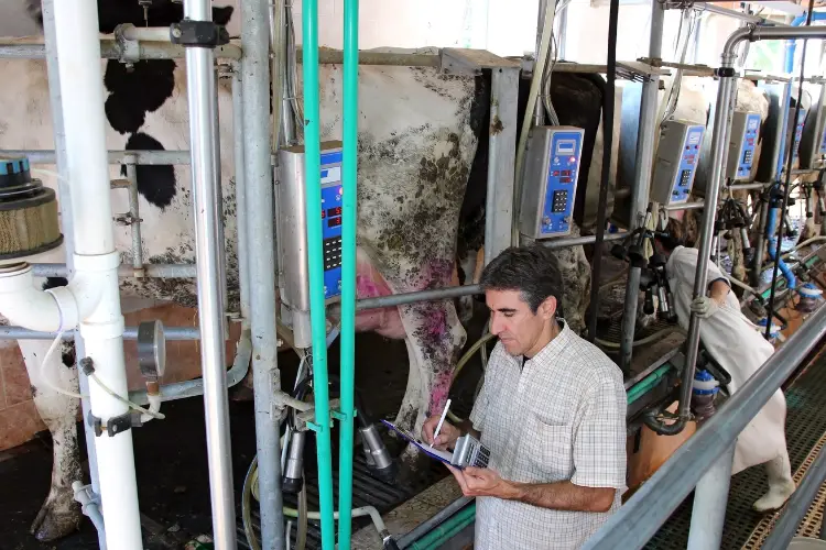 man in dairy  farm
