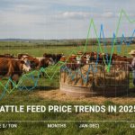 Cattle Feed Price Trends in 2025