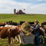 What Is a Cow's Diet in Different Seasons?