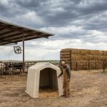 Extreme Weather Cattle Protection Strategies in 2026