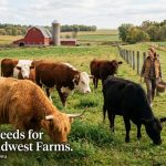 Cattle Breeds for Small Farms in the Midwest