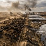 Environmental Impact of Cattle Operations