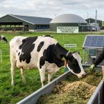 Reducing Methane Emissions from Cattle