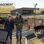 Risk Management for Cattle Operations