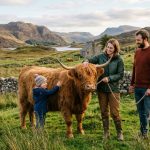 Are Scottish Highland Cattle Good for Beginners?